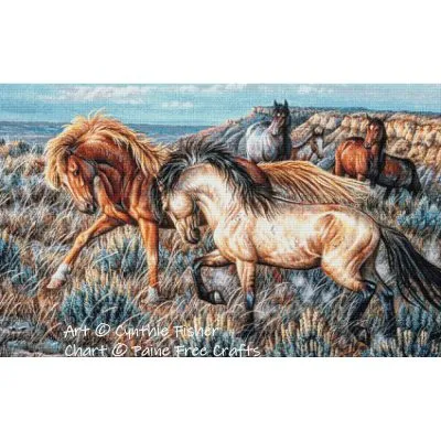 Two Mustang Stallions